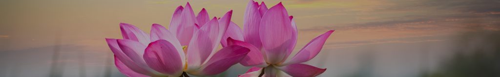 page banner w overlay